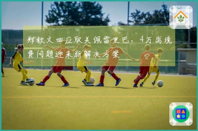 郑钦文回应取关佩雷里巴，4万离境费问题迎来新解决方案