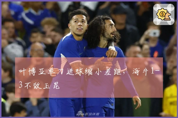 叶博亚单刀进球缩小差距，海牛1-3不敌玉昆